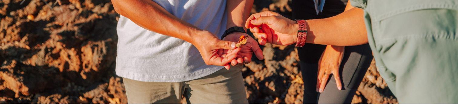 Custom Slider (Video)