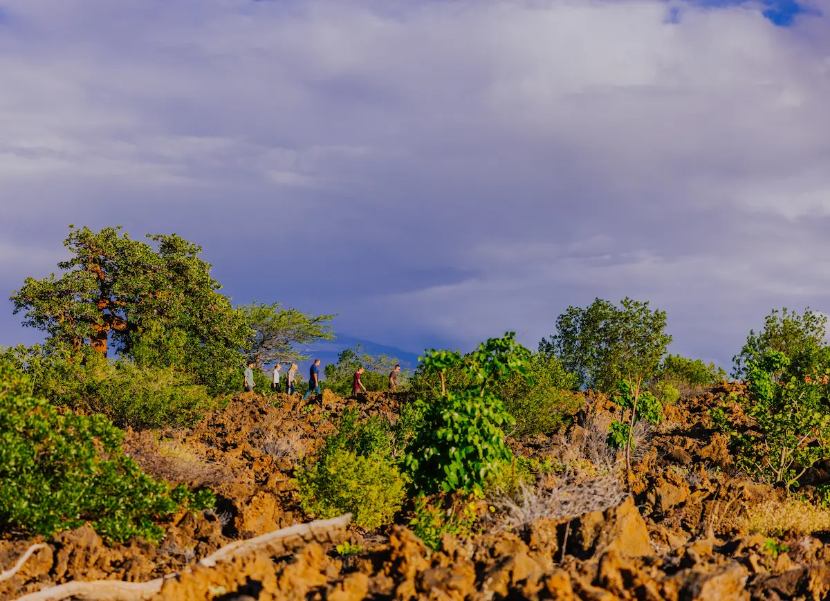 fbd9a151e2c6cb21a5f5d9e6c61e98cd