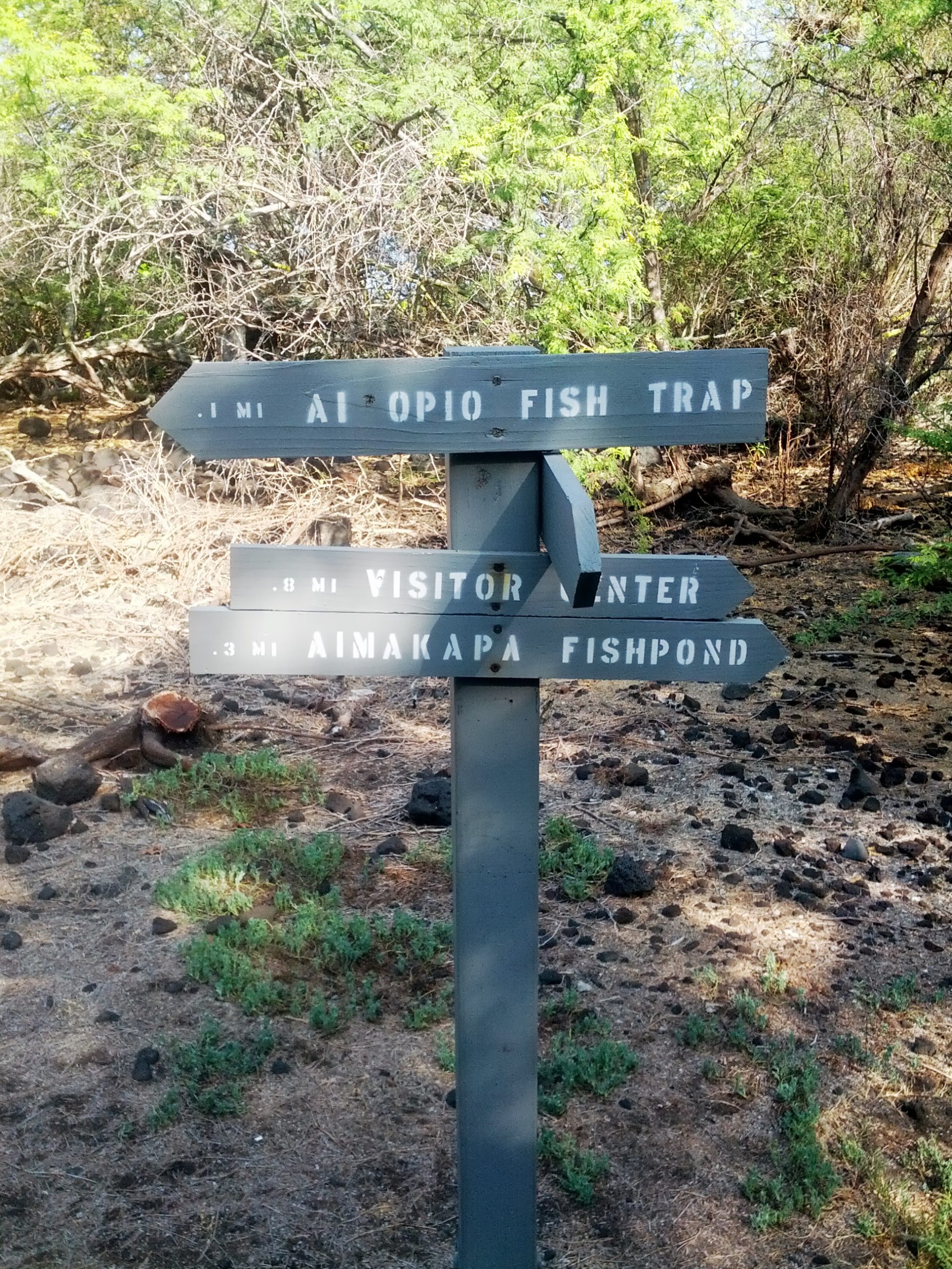 Two Down and a Couple Dozen More to Go